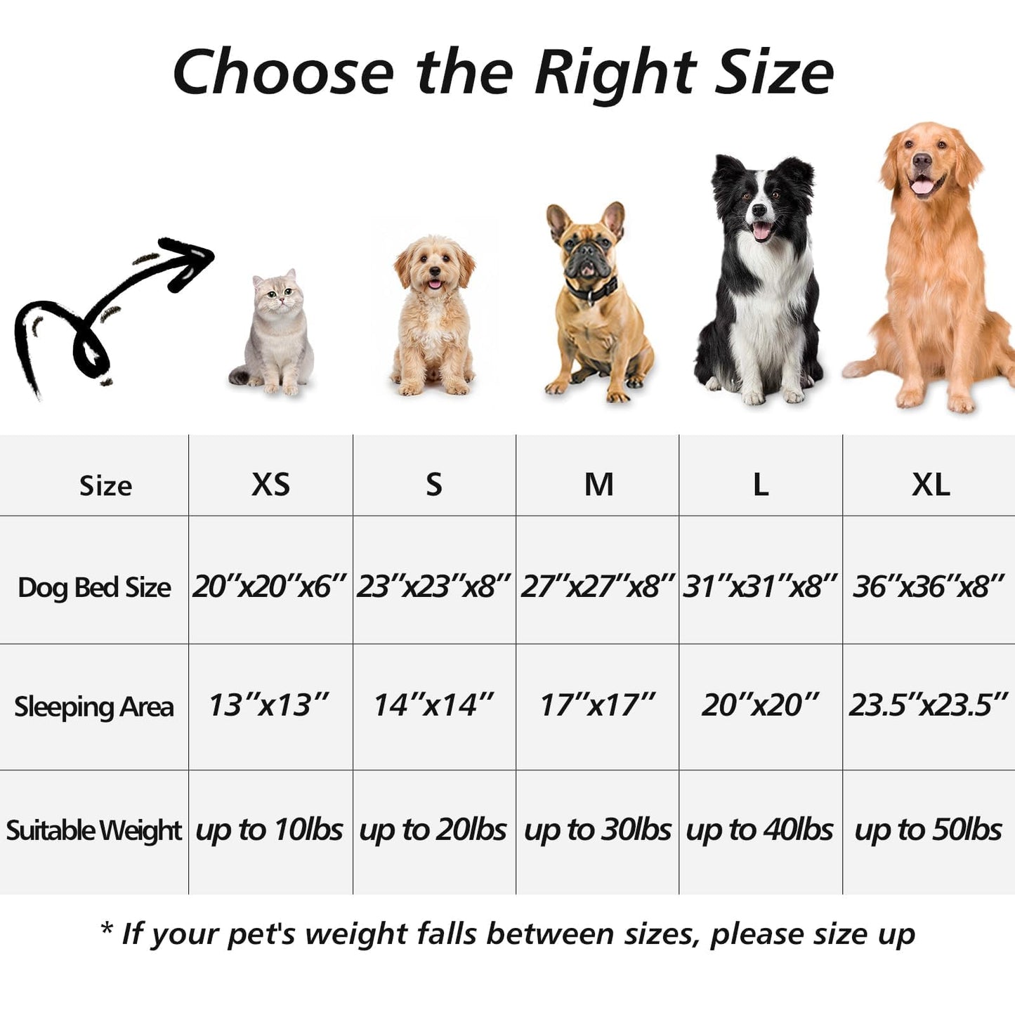 Rivosta™ Donut Cuddler Bed – 20" | Calming Round Plush Bed for Small Dogs & Indoor Cats (Smoke Grey)