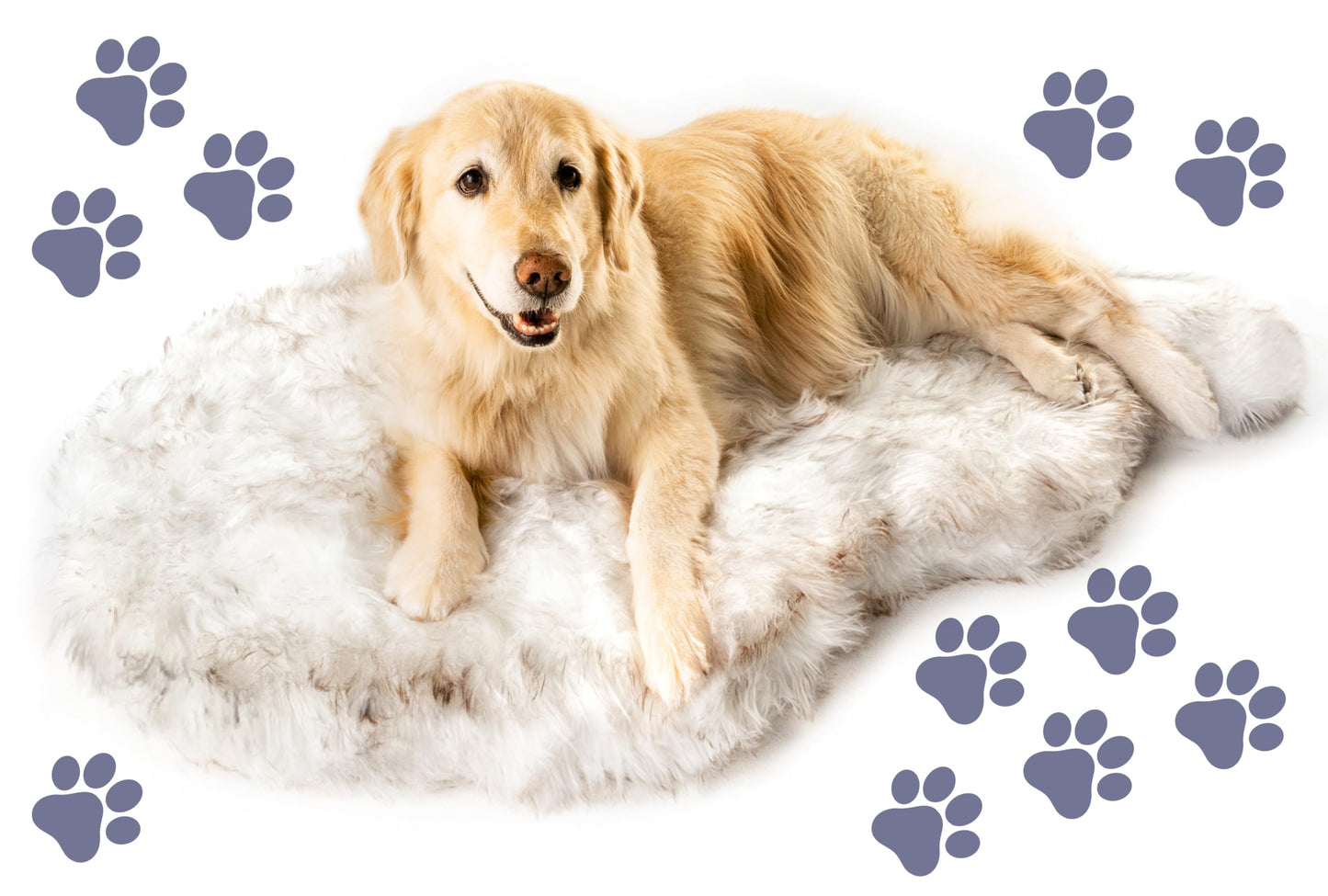 Rivosta™ Orthopedic Dog Bed | Large/XL Memory Foam Bed with Fluffy Faux Fur Cover, Waterproof Lining & Washable Design (White with Brown Accents)