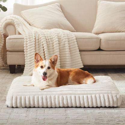 Rivosta™ Large Dog Bed | 35" × 23" Flat Pet Mat with Thick Shredded Foam, Removable Washable Cover & Anti-Slip Bottom (Cream)