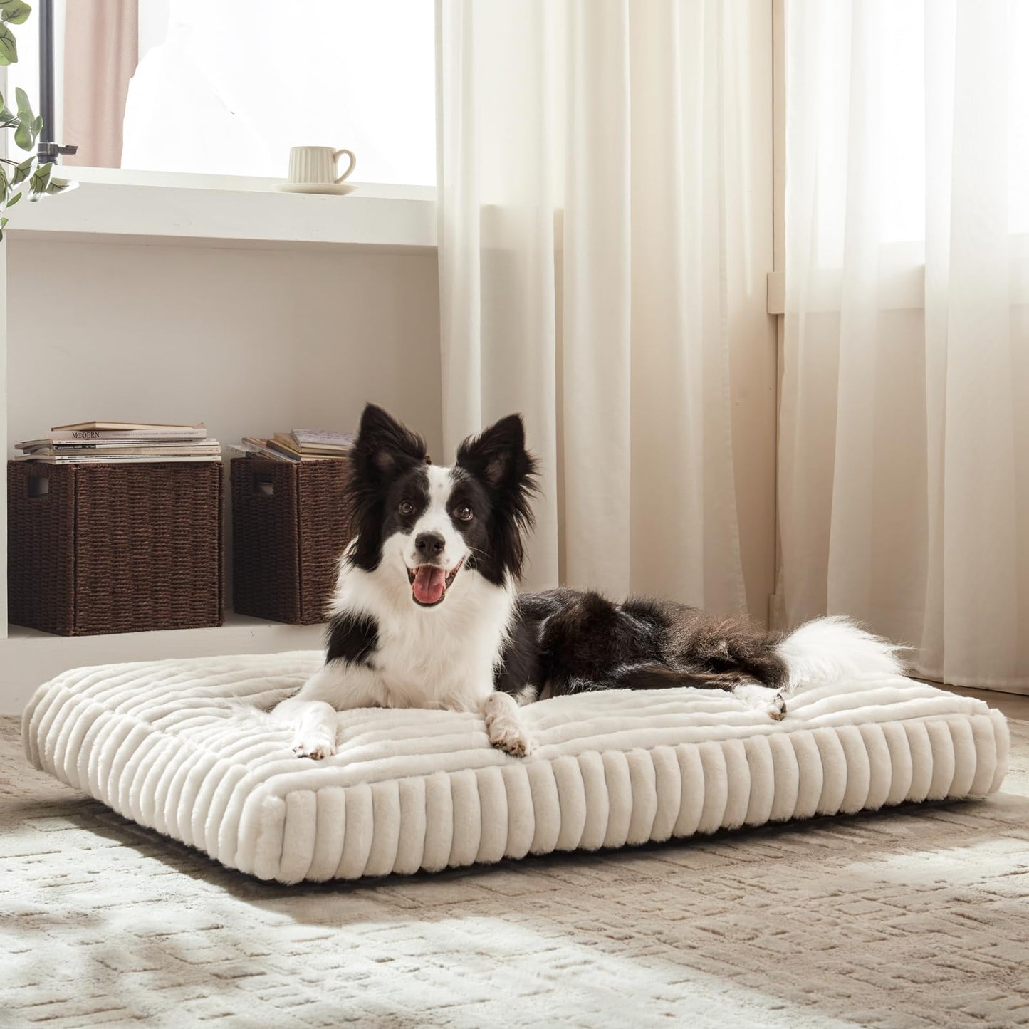 Rivosta™ Large Dog Bed | 35" × 23" Flat Pet Mat with Thick Shredded Foam, Removable Washable Cover & Anti-Slip Bottom (Cream)