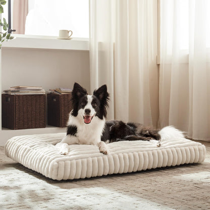 Rivosta™ Large Dog Bed | 35" × 23" Flat Pet Mat with Thick Shredded Foam, Removable Washable Cover & Anti-Slip Bottom (Cream)