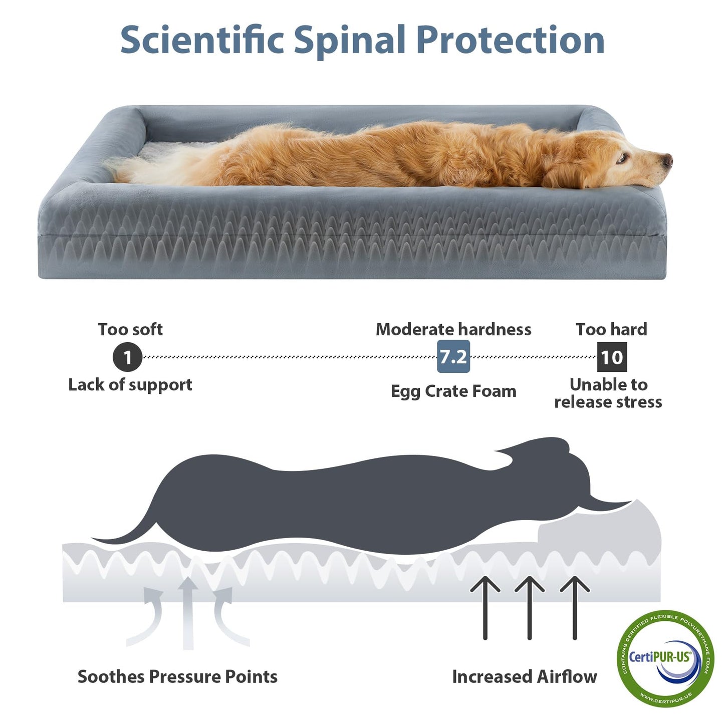 Rivosta™  XL Dog Sofa Bed | Extra-Large Orthopedic Pet Couch with Bolster Sides & Removable Waterproof Washable Cover