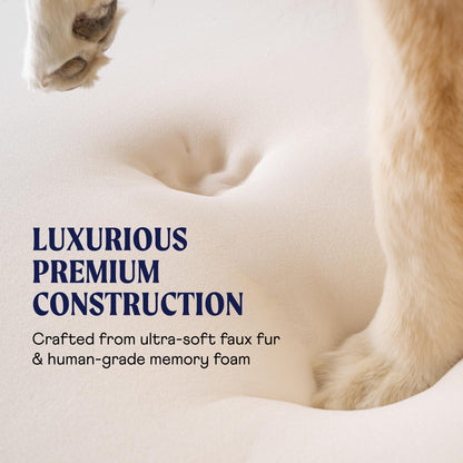 Rivosta™ Orthopedic Dog Bed | Large/XL Memory Foam Bed with Fluffy Faux Fur Cover, Waterproof Lining & Washable Design (White with Brown Accents)