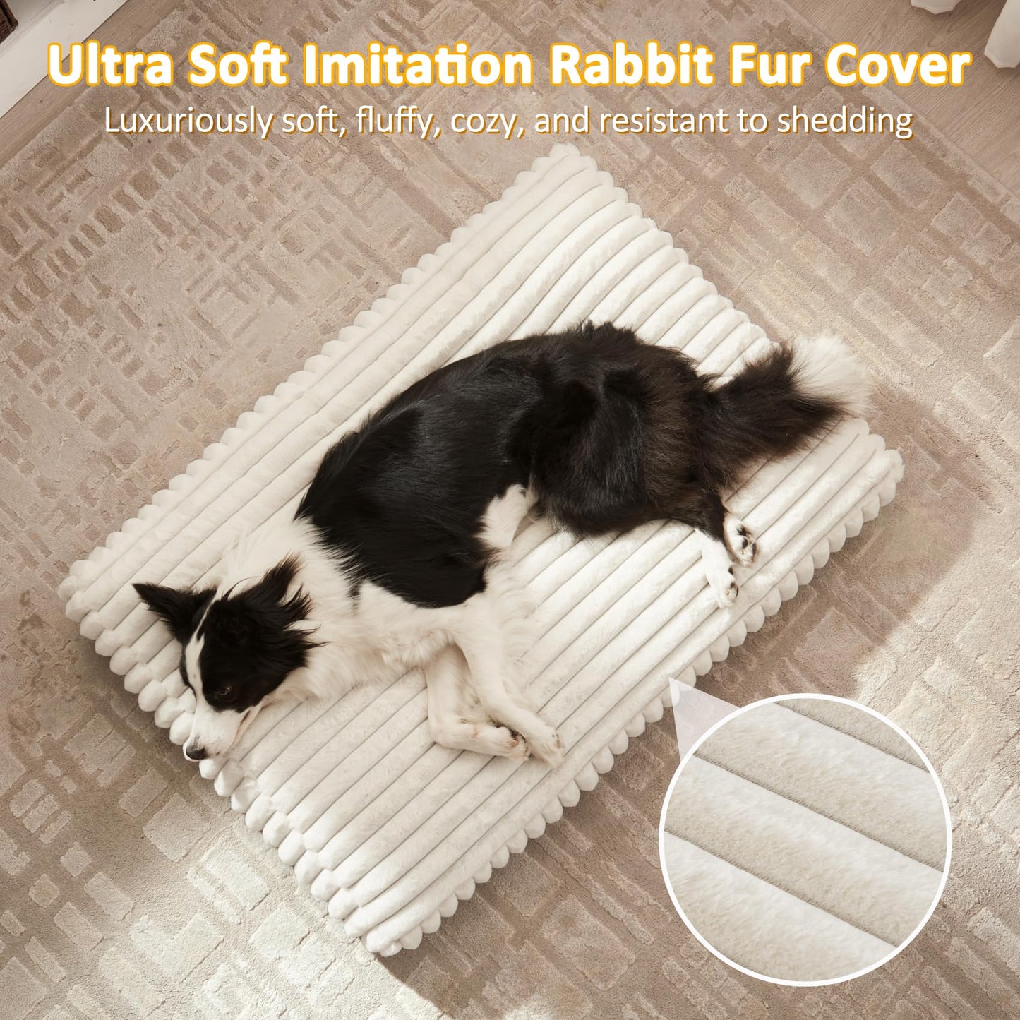 Rivosta™ Large Dog Bed | 35" × 23" Flat Pet Mat with Thick Shredded Foam, Removable Washable Cover & Anti-Slip Bottom (Cream)