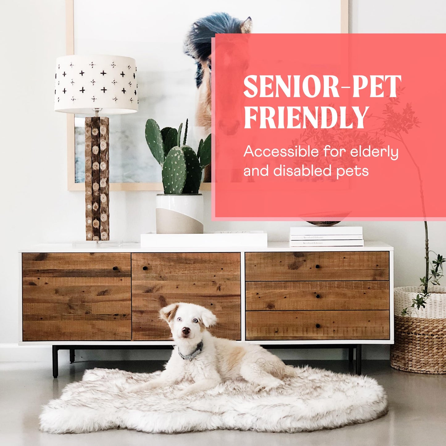 Rivosta™ Orthopedic Dog Bed | Large/XL Memory Foam Bed with Fluffy Faux Fur Cover, Waterproof Lining & Washable Design (White with Brown Accents)