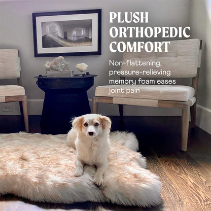 Rivosta™ Orthopedic Dog Bed | Large/XL Memory Foam Bed with Fluffy Faux Fur Cover, Waterproof Lining & Washable Design (White with Brown Accents)